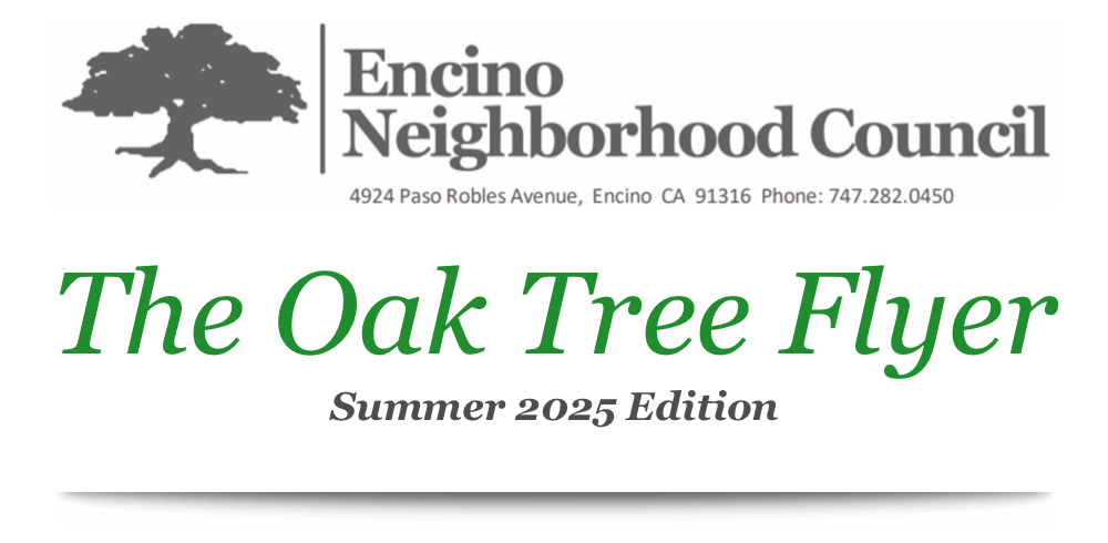Oak Tree Flyer - Summer Edition